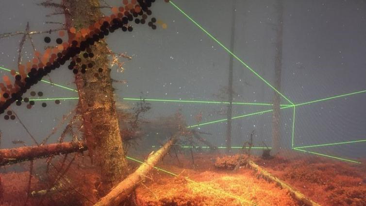 VR让你幻化为一只漫游丛林的蝙蝠